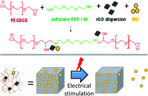 Graphical abstract: Electro-stimulated release from a reduced graphene oxide composite hydrogel