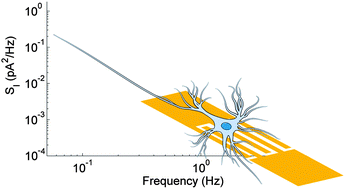 Graphical abstract: Low frequency electric current noise in glioma cell populations