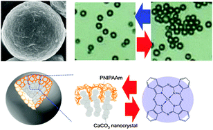 Graphical abstract: Switchable dispersivity and molecular-trapping performance of mesostructured CaCO3–thermosensitive polymer composite microspheres