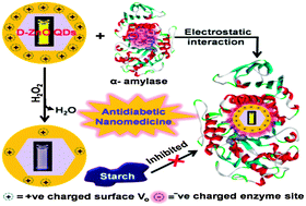 Graphical abstract: Surface defect rich ZnO quantum dots as antioxidants inhibiting α-amylase and α-glucosidase: a potential anti-diabetic nanomedicine