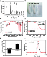 Graphical abstract: Poly-(allylamine hydrochloride)-coated but not poly(acrylic acid)-coated upconversion nanoparticles induce autophagy and apoptosis in human blood cancer cells