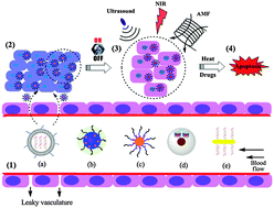 Graphical abstract: Design of hybrid nanovehicles for remotely triggered drug release: an overview