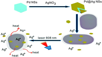 Graphical abstract: Two-dimensional antibacterial Pd@Ag nanosheets with a synergetic effect of plasmonic heating and Ag+ release