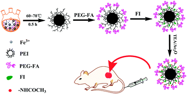 Graphical abstract: Facile synthesis of folic acid-functionalized iron oxide nanoparticles with ultrahigh relaxivity for targeted tumor MR imaging