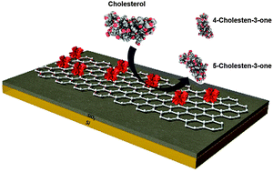 Graphical abstract: Electrodeposition of flower-like nickel oxide on CVD-grown graphene to develop an electrochemical non-enzymatic biosensor