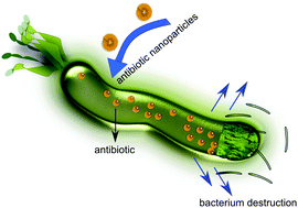 Graphical abstract: Nanotechnology solutions to restore antibiotic activity