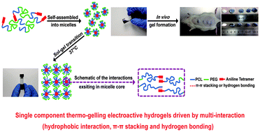 Graphical abstract: Single component thermo-gelling electroactive hydrogels from poly(caprolactone)–poly(ethylene glycol)–poly(caprolactone)-graft-aniline tetramer amphiphilic copolymers