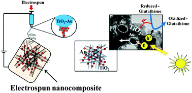 Graphical abstract: Single-step electrospun TiO2–Au hybrid electrodes for high selectivity photoelectrocatalytic glutathione bioanalysis