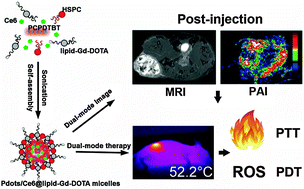 Graphical abstract: Lipid micelles packaged with semiconducting polymer dots as simultaneous MRI/photoacoustic imaging and photodynamic/photothermal dual-modal therapeutic agents for liver cancer