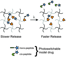 Graphical abstract: Enhanced user-control of small molecule drug release from a poly(ethylene glycol) hydrogel via azobenzene/cyclodextrin complex tethers