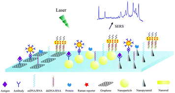 Graphical abstract: Nanostructure-based surface-enhanced Raman scattering biosensors for nucleic acids and proteins