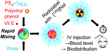 Graphical abstract: Biodistribution and fate of core-labeled 125I polymeric nanocarriers prepared by Flash NanoPrecipitation (FNP)