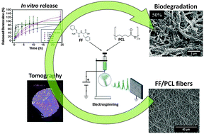 Graphical abstract: Polycaprolactone fibers with self-assembled peptide micro/nanotubes: a practical route towards enhanced mechanical strength and drug delivery applications
