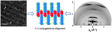 Graphical abstract: Zipper-like molecular packing of donor–acceptor conjugated co-oligomers based on perylenediimide