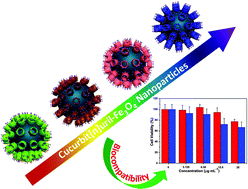 Graphical abstract: One-pot solvothermal synthesis of biocompatible magnetic nanoparticles mediated by cucurbit[n]urils