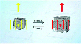 Graphical abstract: A well-aligned simple cubic blue phase for a liquid crystal laser