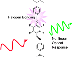 Graphical abstract: Halogen bonding enhances nonlinear optical response in poled supramolecular polymers