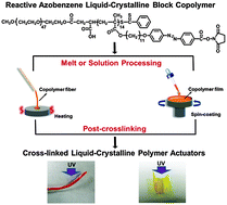 Graphical abstract: A reactive azobenzene liquid-crystalline block copolymer as a promising material for practical application of light-driven soft actuators