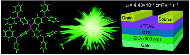 Graphical abstract: Rational bridging affording luminogen with AIE features and high field effect mobility