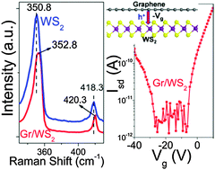 Graphical abstract: Interlayer coupling and optoelectronic properties of ultrathin two-dimensional heterostructures based on graphene, MoS2 and WS2