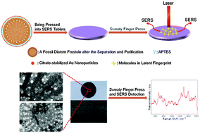 Graphical abstract: A synergistic combination of diatomaceous earth with Au nanoparticles as a periodically ordered, button-like substrate for SERS analysis of the chemical composition of eccrine sweat in latent fingerprints