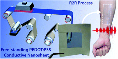 Graphical abstract: Roll to roll processing of ultraconformable conducting polymer nanosheets