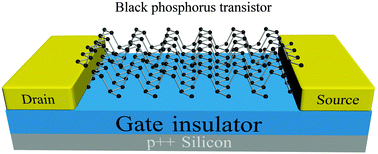 Graphical abstract: Recent developments in black phosphorus transistors