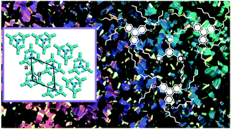 Graphical abstract: Star-shaped triphenylene discotic liquid crystalline oligomers and their hydrogen-bonded supramolecular complexes with simple acids