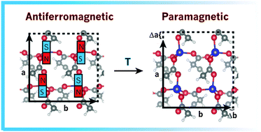 Graphical abstract: Magnetoelastic coupling in the cobalt adipate metal–organic framework from quasi-harmonic lattice dynamics