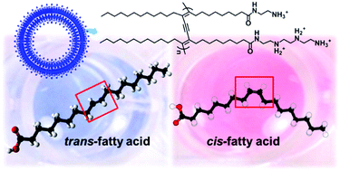 Graphical abstract: Shape-selective, stoichiometric sensing of fatty acids with a mixed polydiacetylene liposome