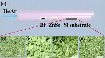 Graphical abstract: Bismuth-catalyzed and doped p-type ZnSe nanowires and their temperature-dependent charge transport properties