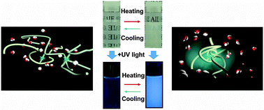 Graphical abstract: Thermoresponsive AIE polymers with fine-tuned response temperature