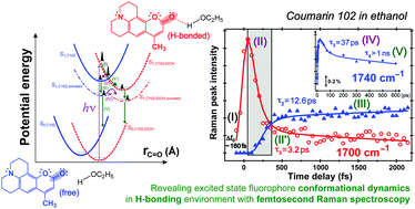 Graphical abstract: Initial hydrogen-bonding dynamics of photoexcited coumarin in solution with femtosecond stimulated Raman spectroscopy