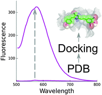Graphical abstract: Docking-guided identification of protein hosts for GFP chromophore-like ligands