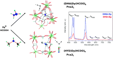 Graphical abstract: Synthesis, structure and optical properties of two novel luminescent polar dysprosium metal–organic frameworks: [(CH3)2NH2][Dy(HCOO)4] and [N2H5][Dy(HCOO)4]