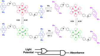Graphical abstract: A redox- and photo-responsive quadri-state switch based on dimethyldihydropyrene-appended cobalt complexes
