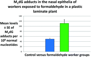 Graphical abstract: Formaldehyde-induced toxicity in the nasal epithelia of workers of a plastic laminate plant