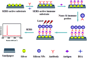 Graphical abstract: Immunoassay for tumor markers in human serum based on Si nanoparticles and SiC@Ag SERS-active substrate