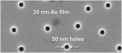 Graphical abstract: Biosensing using plasmonic nanohole arrays with small, homogenous and tunable aperture diameters