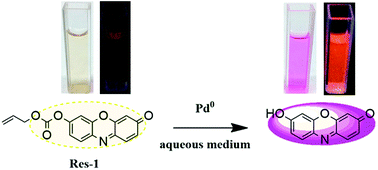 Graphical abstract: A colorimetric and fluorescent dual probe for palladium in aqueous medium and live cell imaging
