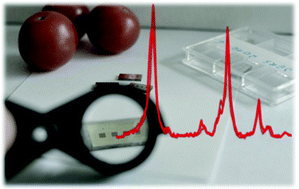Graphical abstract: Toward food analytics: fast estimation of lycopene and β-carotene content in tomatoes based on surface enhanced Raman spectroscopy (SERS)