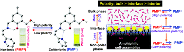 Graphical abstract: A ratiometric solvent polarity sensing Schiff base molecule for estimating the interfacial polarity of versatile amphiphilic self-assemblies