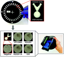 Graphical abstract: Rapid detection of Clostridium difficile via magnetic bead aggregation in cost-effective polyester microdevices with cell phone image analysis