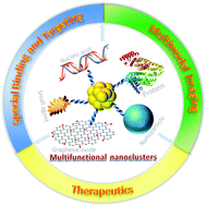 Graphical abstract: Functionalization of metal nanoclusters for biomedical applications