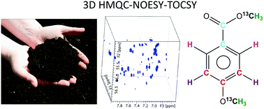 Graphical abstract: Isotope-filtered nD NMR spectroscopy of complex mixtures to unravel the molecular structures of phenolic compounds in tagged soil organic matter