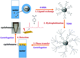 Graphical abstract: Ultra-sensitive determination of silver nanoparticles by surface-enhanced Raman spectroscopy (SERS) after hydrophobization-mediated extraction