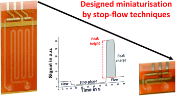 Graphical abstract: Designed miniaturization of microfluidic biosensor platforms using the stop-flow technique