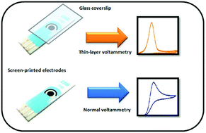 Graphical abstract: Thin-layer voltammetry of soluble species on screen-printed electrodes: proof of concept
