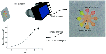 Graphical abstract: Image analysis for a microfluidic paper-based analytical device using the CIE L*a*b* color system