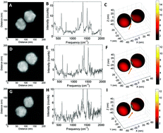Graphical abstract: Correlative SEM SERS for quantitative analysis of dimer nanoparticles